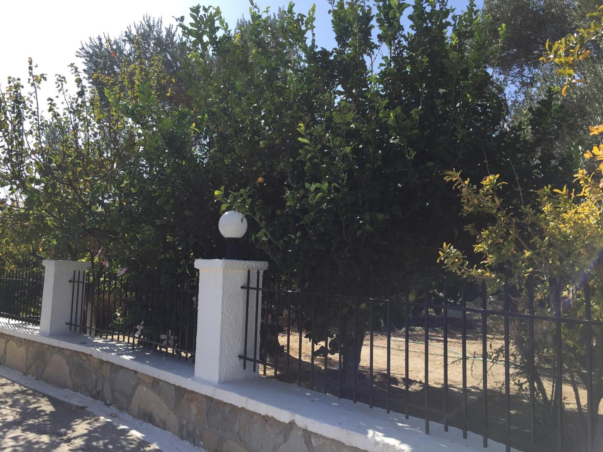 Kampos Marathokampou Livanina Apartments מראה חיצוני תמונה