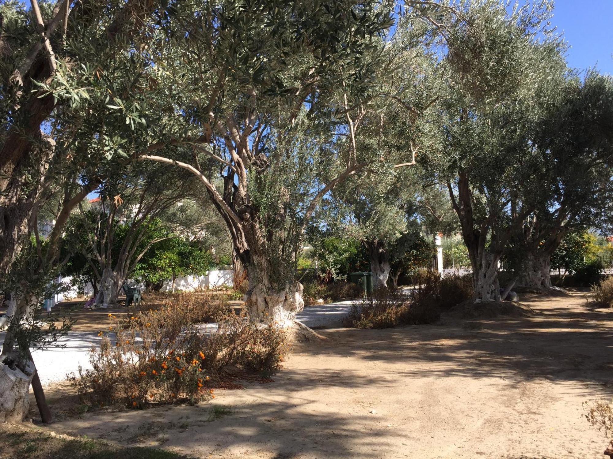 Kampos Marathokampou Livanina Apartments מראה חיצוני תמונה
