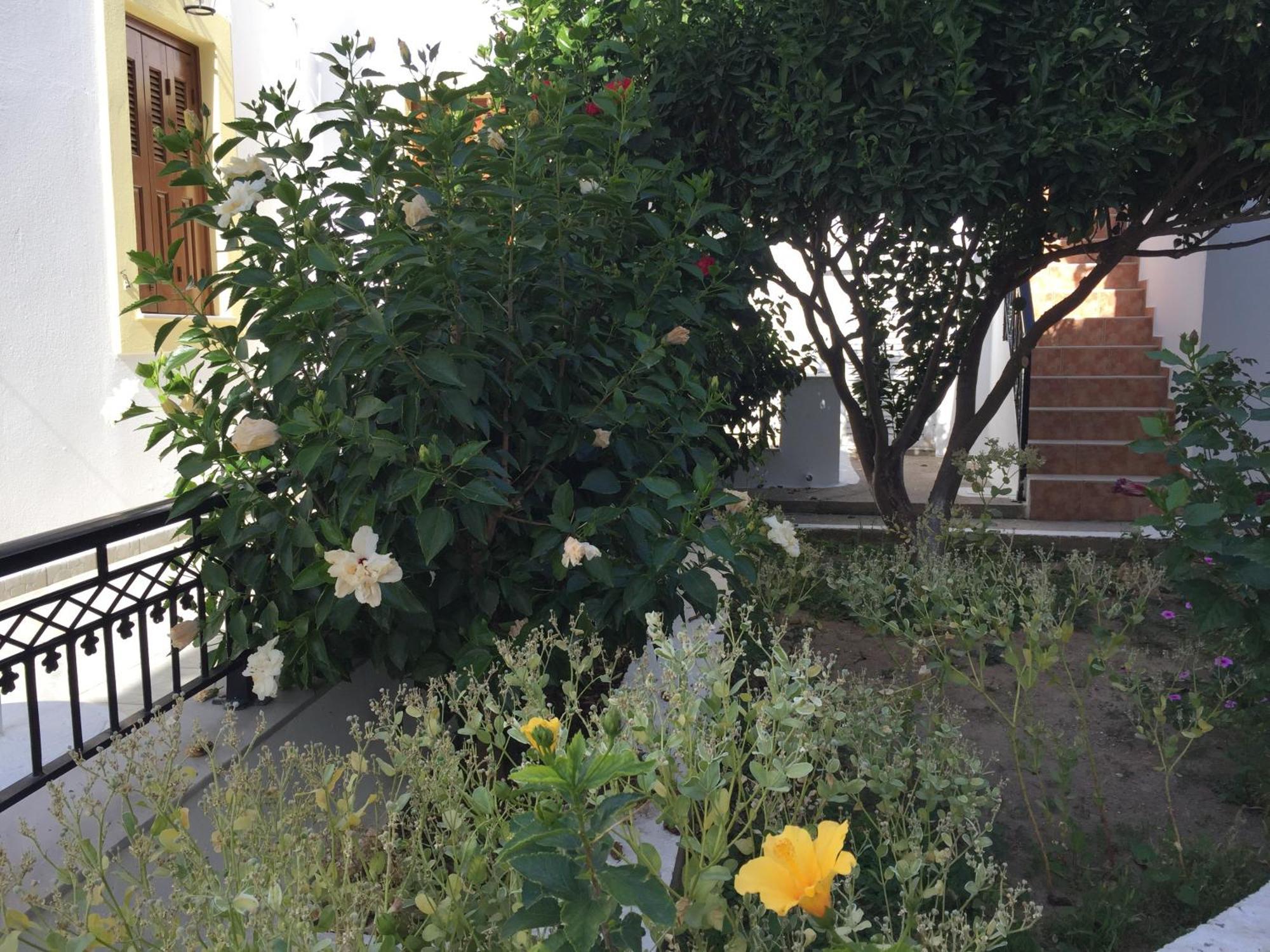Kampos Marathokampou Livanina Apartments מראה חיצוני תמונה